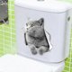 thumbnail image 2 of British Shorthair Cat Wall Decals British Shorthair Cat Toilet Sticker 3d Cat Car Window And Bumper Sticker2pcs, 2 of 4