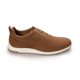 thumbnail image 1 of Choclo Casual Dorothy Gaynor Café Hombre T 25, 1 of 7