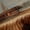 Brown 02, variant on Feelyou Bear Family Blackout Curtains Set of 2 (52x84 Each), Lodge Cabin Window Curtains
