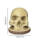 thumbnail image 3 of Soporte para Cuchillos Con Forma Calavera Esqueleto Resina Estante Almacenamiento Aterrador, 3 of 3