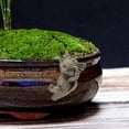 thumbnail image 4 of Estatuas de Jardín Colgador Hugger Dinosaurio Zulema Jardinero Abrazador 7.8x3x5cm, 4 of 8