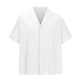 thumbnail image 4 of Awdenio New Arrivals Summer Mens Shirts, Mens Short Sleeve Button Up Shirts Hawaiian Textured Shirt Casual Solid Dress Shirt Shirts, Fathers Day Gifts White S, 4 of 5