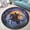 Headless Horseman Cat, variant on Round Area Rug, Dragonfly4 Non-Slip Floor Mat, Soft Washable Carpet for Living Room Bedroom Decor 39 Inch
