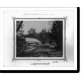 thumbnail image 2 of Historic Framed Print, [Botanical gardens of the Imperial Military Medical School].fotograf Föbus., 17-7/8" x 21-7/8", 2 of 9
