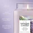 thumbnail image 4 of Yankee Candle Dried Lavender & Oak Original Large Jar Scented Candles, 22 oz, 4 of 9