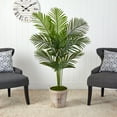 thumbnail image 3 of Nearly Natural 5ft. Paradise Palm Artificial Tree in Farmhouse Planter, 3 of 4