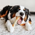 thumbnail image 3 of Nylabone Power Chew Knuckle Bone Pop-In Dog Treat Toy, Dog Toy, Chicken Flavor, Large, 3 of 13