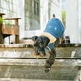 thumbnail image 3 of Gap Pet, Dog Clothes, Blue Denim Pet Jacket, 3 of 8
