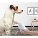 thumbnail image 5 of Limpiador de patas para mascotas, limpiador de patas de perro, limpiador de pies de silicona suave para limpiar patas de perro, limpiador portátil de pies para mascotas pequeño gris, 5 of 5
