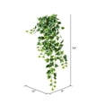 thumbnail image 2 of Vickerman 34" Varigated Green Ivy Hanging Bush - FZ190234, 2 of 2