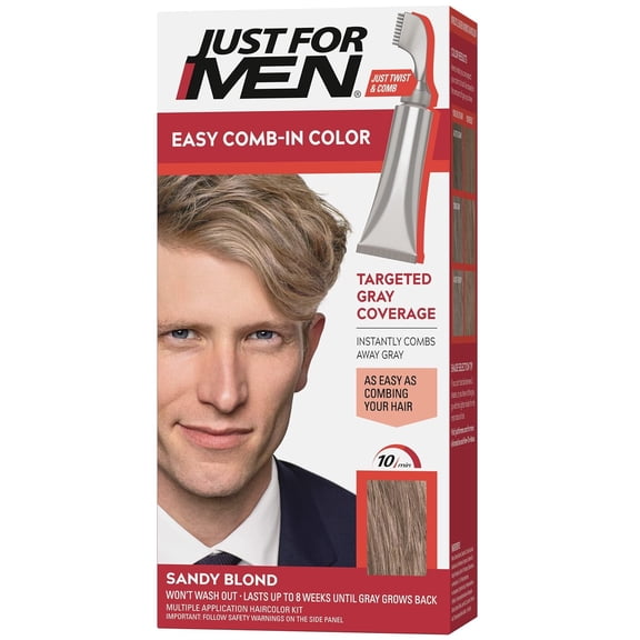 Just For Men Easy Comb-in Hair Color for Men with Applicator, Rich Black, A-65, 1 Kit