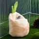 thumbnail image 5 of GOOHOCHY Escondite de cobayas Casa para hámsteres Casa para cobayas Casa para chinchillas Cama navideña para mascotas pequeñas, 5 of 7