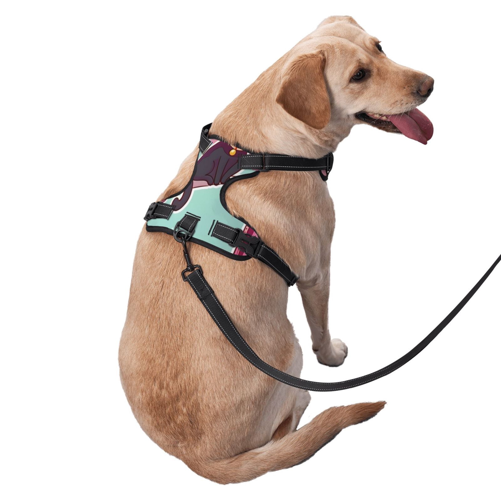 Naloa Cats On Broomstick Dog Harness, Pet Harness Vest with Traction Rope, Dog Vest for Outdoor, Walking - {sizeName}-
