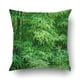 thumbnail image 1 of Funda de Almohada ABPHQTO Ramas Hojas de Bambú 40x40 cm, 1 of 1
