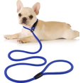 thumbnail image 2 of Correa de nailon para perro para caminar, entrenamiento, hebilla ajustable, correa para mascota, Collar de cuerda, cinturón antideslizante, azul, L Rojo Verde Cocina, Decoración y Otros, 2 of 5
