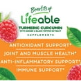 thumbnail image 3 of Lifeable Turmeric Curcumin and Ginger for Kids – with Black Pepper Extract – 2000mg  – Gluten Free Vegetarian Chewable – Reduce Inflammation – 90 Gummies, 3 of 6