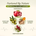 thumbnail image 5 of Snap Supplements Heart Health Support with CoQ10, Olive Leaf and Hawthorn, 90 Capsules, Adult Dietary Supplement, Easy-to-Use Capsule Format, For formula supports heart and circulation wellness, 5 of 10