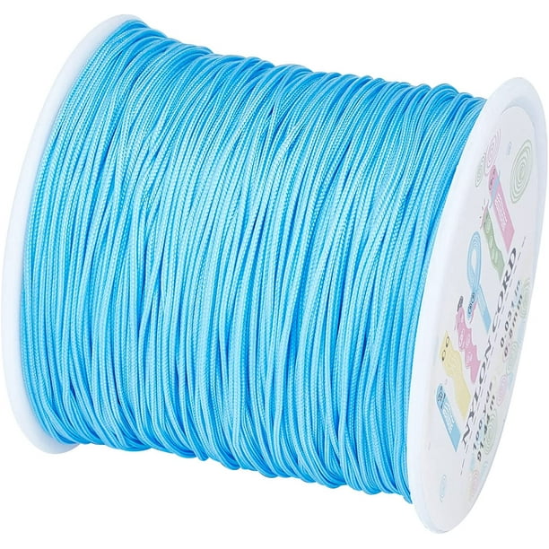 IGUOHAO 100 Yards 0.8mm Nylon Beading String, Chinese Knotting Cord Nylon  Kumihimo Macrame Thread Braided Lift Shade Cord for Blind Mini Blind Cord  Replacement String for Windows (LightSkyBlue) 