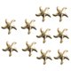 thumbnail image 1 of Tiara Nupcial de Pentagrama Gloria, 1 of 9