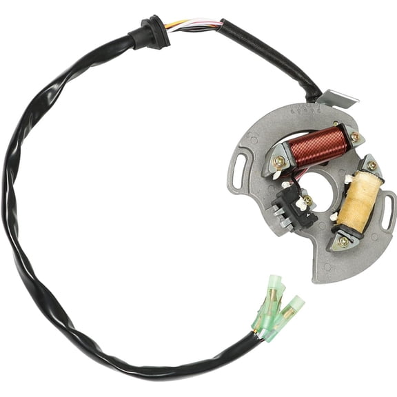 SEBLAFF Stator Replacement for Yamaha Blaster 200 YFS200 5Vm-85560-00-00 2003-2006