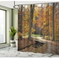 thumbnail image 5 of Ambesonne Autumn Shower Curtain, Gloomy Day Forest Path, 69"Wx70"L, Seal Brown Marigold, 5 of 5
