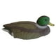 thumbnail image 2 of Señuelo de comida para caza de patos, accesorios de pesca portátiles y duraderos para hembras y machos Pato macho, 2 of 8