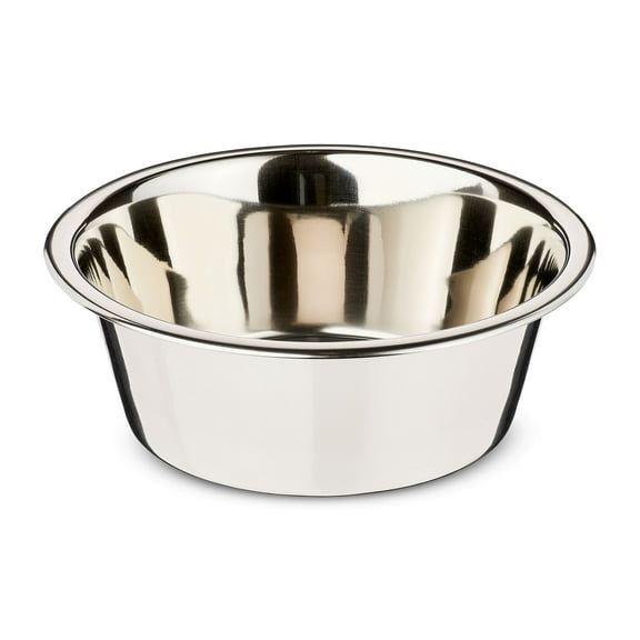 Vibrant Life Stainless Steel Paw & Beads Imprint Dog Bowl Medium
