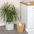 thumbnail image 4 of Household Essentials Handwoven Round Water Hyacinth Waste Basket with Plastic Liner, Natural, 4 of 7