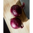 thumbnail image 4 of Red Burgundy Onion Seeds/ Perennial/ Full Sun/ 28K seeds 1/4 lb/  Zellajake Farm and Garden- B179, 4 of 5