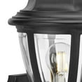 thumbnail image 6 of Non-Metallic Incandescent One-Light Wall Lantern, 6 of 8