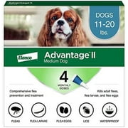 Advantage II Medium Dog Vet-Recommended Flea Treatment & Prevention | Dogs 11-20 lbs. | 4-Month Supply 4-Pack