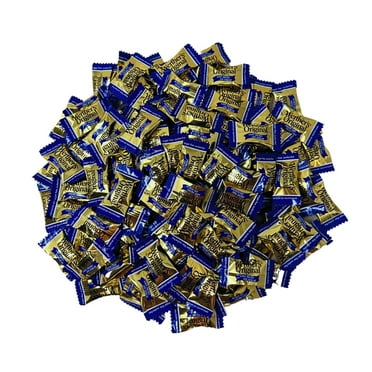 Werther's Original Sugar Free Caramel Hard Candies (16 oz)