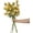 Yellow, variant on Dried Flower Artificial Rose 6pcs 24 Inch Long Stem Silk Rose with 5 Flowers for Wedding DIY Bridal Bouquet Home Decor Centerpiece Arrangement(White)