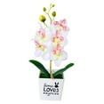 thumbnail image 2 of SPRING PARK Artificial Butterfly Orchid Flower Plants In Pot Fake Home Wedding Party Decor, 2 of 7