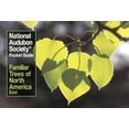 thumbnail image 1 of Pre-Owned National Audubon Society Pocket Guide to Familiar Trees: East (Paperback) 0394748514 9780394748511, 1 of 1