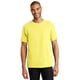 thumbnail image 1 of Hanes® - Camiseta 100% algodón auténtica. 5250 Hanes 5250, 1 of 1