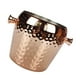 thumbnail image 5 of Cubo de hielo de acero inoxidable perfecl 1L, 5 of 8