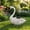 C, variant on Orangide Resin White Goose Figurine, Cute Statue Home Desktop Decor Ornament, Farmhouse Style Miniature for Shelf Office Bookshelf Gift