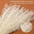 thumbnail image 2 of Dried Flowers Babys Breath Bouquet, – 17 Inch 3500+ Preserved Natural Flowers, Dried Floral Arrangements for Wedding Decor, Farmhouse Vase Crafts, DIY Wreath, Home Party Decoration, White, 2 of 9