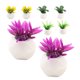 thumbnail image 2 of 8pcs Bonsai Bonsai Greedery Adveringy Dollhouse Decoración Bonsai Modelo de planta pequeña, 2 of 6