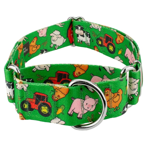 Country Brook Petz® 1 1/2 inch Farm Life Y'all Martingale Dog Collar, Large