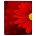 thumbnail image 2 of Red Flower with Lit up Background - Large Floral Canvas Artwork, 2 of 4