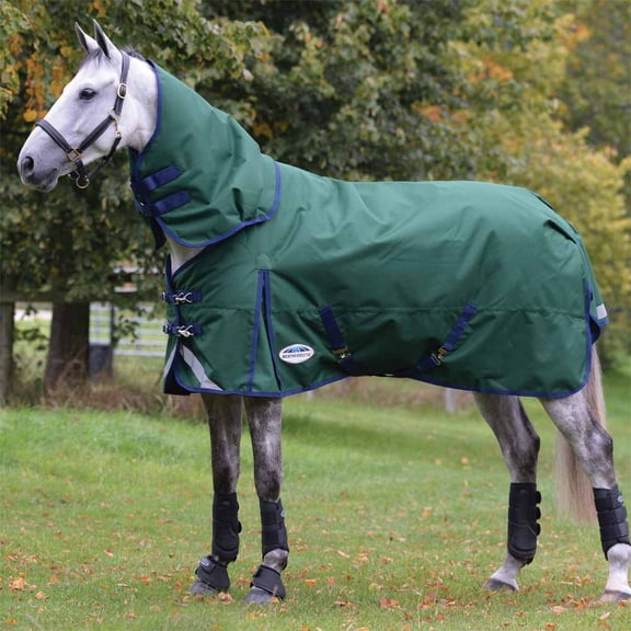 Weatherbeeta Comfitec Plus Dynamic II Detach-A-Neck Turnout Blanket (360g Heavy), Hunter (Navy Trim), Size: 87