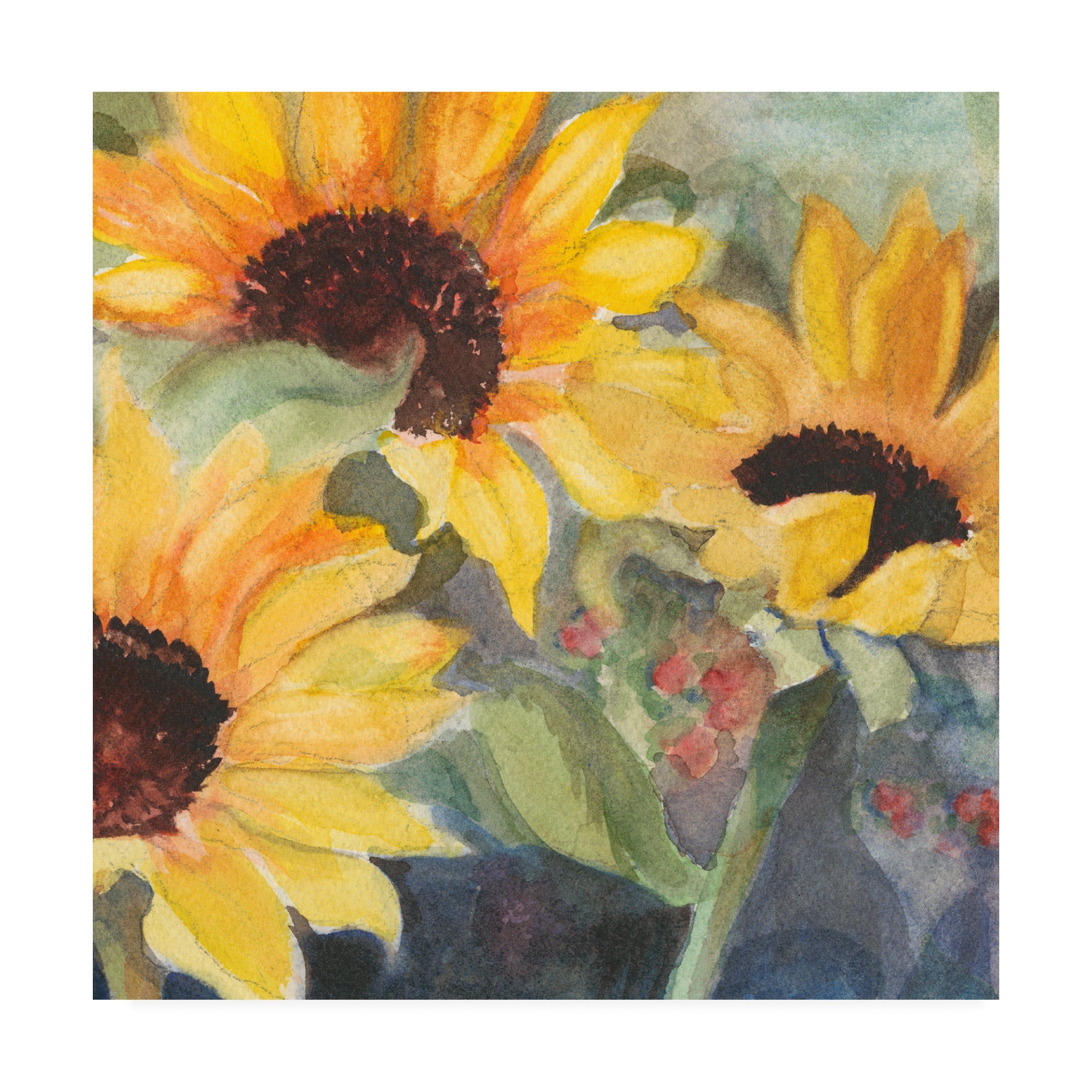 Trademark Fine Art 'Sunflowers In Watercolor Ii' Canvas Art By Sandra Iafrate - Walmart.com