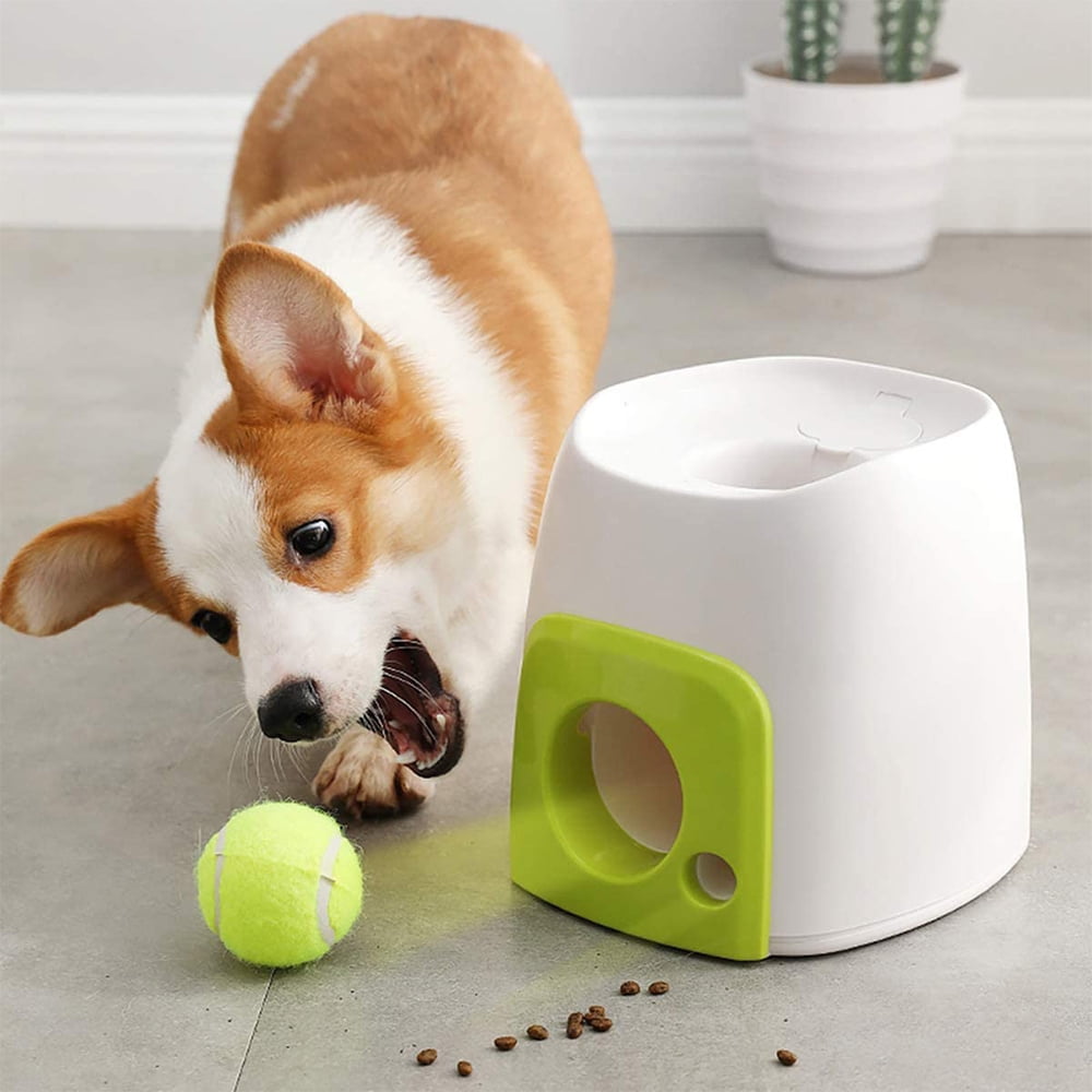 dog tennis ball launcher walmart