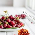 thumbnail image 6 of 304 Stainless Steel Corer and Jujube Peeler | Red Date Cherry Winter Date Remover | Multifunctional Household Kitchen Tool | Dishwasher Safe | Durable | 6.3x1 Inches | 1 Pack, 6 of 9