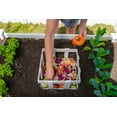 thumbnail image 2 of Vita Classic 12' L x 8' W x 4' H Vinyl Keyhole Composting Garden with Enclosure, White, VT17125, 2 of 10