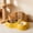 Yellow, variant on Automatic Dog Water Bowl with Food Bowl, 2-in-1 Gravity Pet Feeder & Water Dispenser, 304 Stainless Steel, Non-Slip Base for Small Medium Dogs and Cats