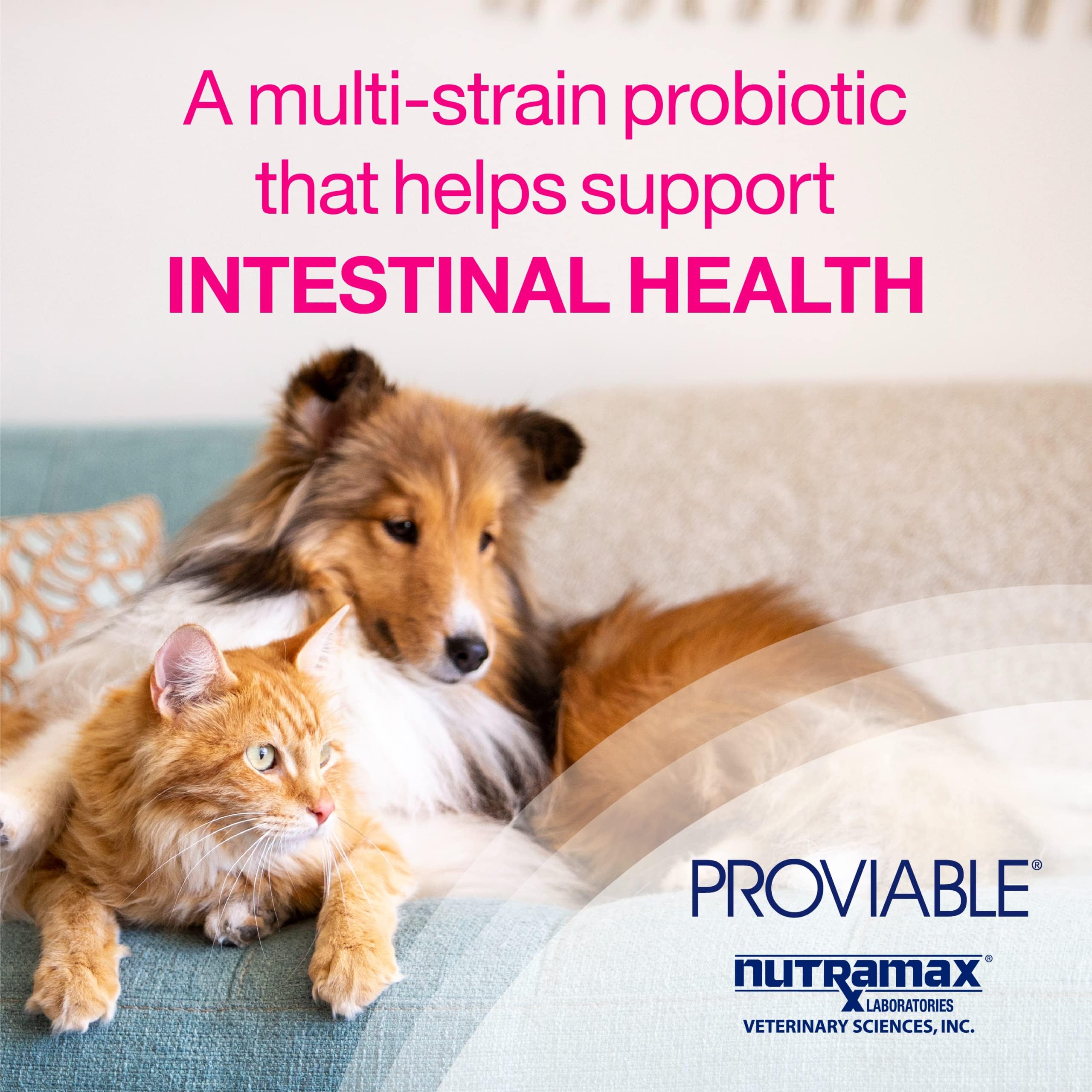 Proviable DC 30 Capsules for Cats Digestive Supplement Exp 12/2026 NEW