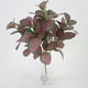 thumbnail image 2 of Injueey 5 ramas de plantas artificiales, vides, colgante de pared, simulación de hojas de ratán, ramas, planta verde, hoja de hiedra, Plantas Artificiales, 2 of 6
